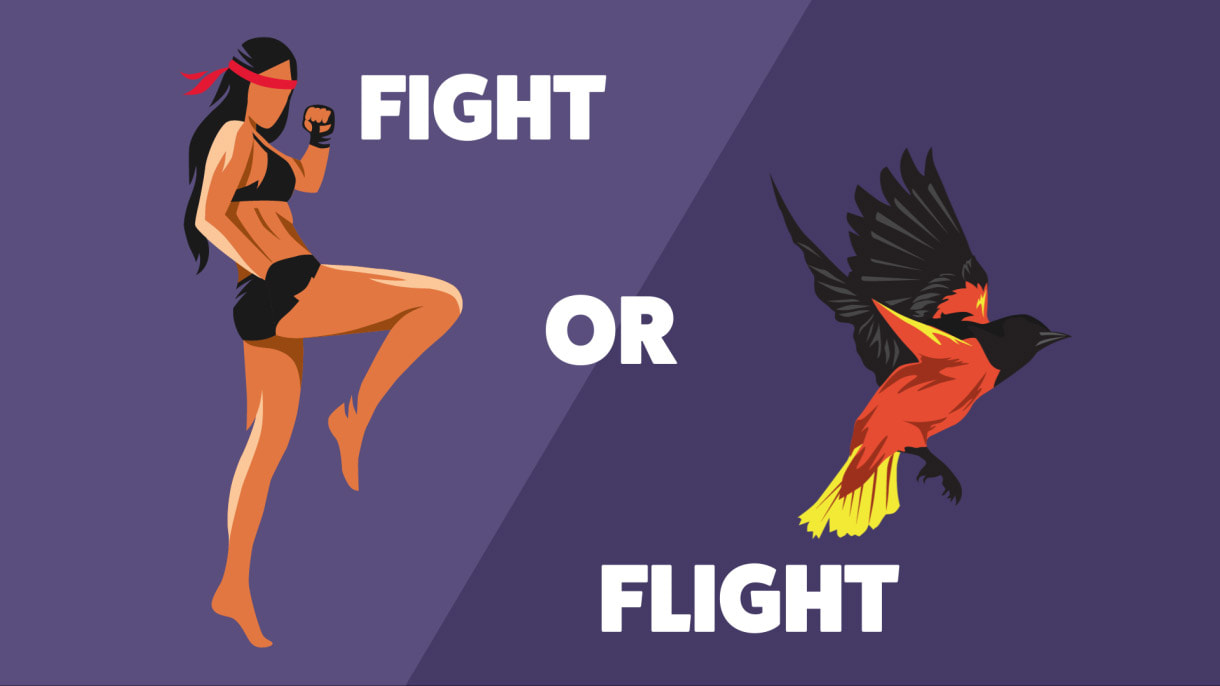 Flight of fight